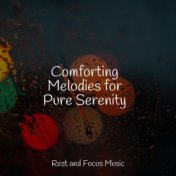 Comforting Melodies for Pure Serenity