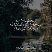 40 Comforting Melodies for Chilling Out The Mind