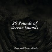 30 Sounds of Serene Sounds