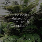 The Best Relaxation Music Compilation