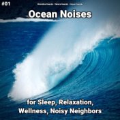 #01 Ocean Noises for Sleep, Relaxation, Wellness, Noisy Neighbors