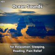 #01 Ocean Sounds for Relaxation, Sleeping, Reading, Pain Relief