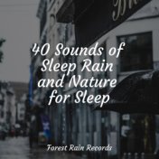 40 Sounds of Sleep Rain and Nature for Sleep