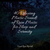 40 Relaxing Music Sounds of Rain Music for Sleep and Serenity