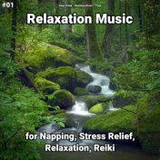 #01 Relaxation Music for Napping, Stress Relief, Relaxation, Reiki