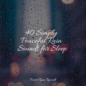 40 Simply Peaceful Rain Sounds for Sleep