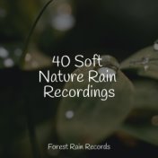 40 Soft Nature Rain Recordings