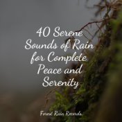 40 Serene Sounds of Rain for Complete Peace and Serenity