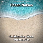 #01 Ocean Noises for Relaxation, Sleep, Wellness, Zen