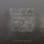 40 Light and Steady Rain Sounds for Sleep and Chill Ambience