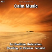 #01 Calm Music for Bedtime, Relaxation, Reading, to Release Tension