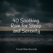 40 Soothing Rain for Sleep and Serenity