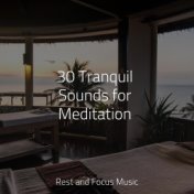 30 Tranquil Sounds for Meditation