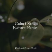 Calm & Soft Nature Music