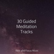 30 Guided Meditation Tracks