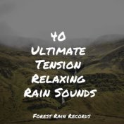 40 Ultimate Tension Relaxing Rain Sounds