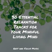 30 Essential Relaxation Tracks for Your Mindful Living Mind