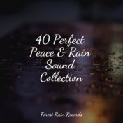 40 Perfect Peace & Rain Sound Collection