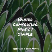 Winter Comforting Music | Simple