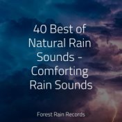 40 Best of Natural Rain Sounds - Comforting Rain Sounds