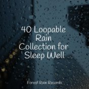 40 Loopable Rain Collection for Sleep Well