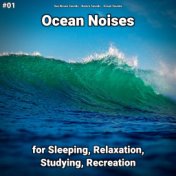 #01 Ocean Noises for Sleeping, Relaxation, Studying, Recreation