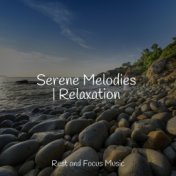 Serene Melodies | Relaxation