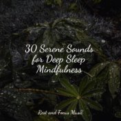 30 Serene Sounds for Deep Sleep Mindfulness