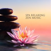 Spa Relaxing Zen Music (Mineral Spring Massage with Therapy and Stress Relief Instrumental Music)