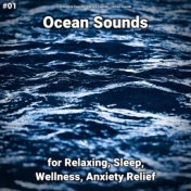 #01 Ocean Sounds for Relaxing, Sleep, Wellness, Anxiety Relief