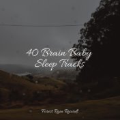 40 Brain Baby Sleep Tracks