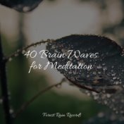 40 Brain Waves for Meditation