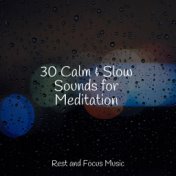 30 Calm & Slow Sounds for Meditation