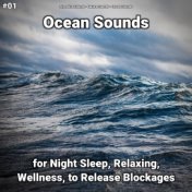 #01 Ocean Sounds for Night Sleep, Relaxing, Wellness, to Release Blockages