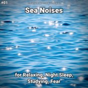 #01 Sea Noises for Relaxing, Night Sleep, Studying, Fear