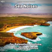 #01 Sea Noises for Relaxation, Bedtime, Studying, Tinnitus