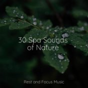 30 Spa Sounds of Nature