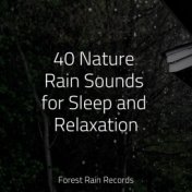 40 Nature Rain Sounds for Sleep and Relaxation