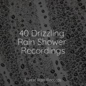 40 Drizzling Rain Shower Recordings