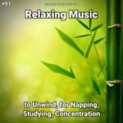 #01 Relaxing Music to Unwind, for Napping, Studying, Concentration