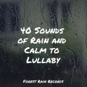 40 Sounds of Rain and Calm to Lullaby