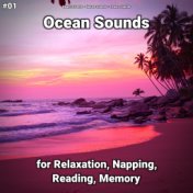 #01 Ocean Sounds for Relaxation, Napping, Reading, Memory
