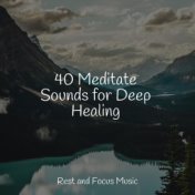 40 Meditate Sounds for Deep Healing