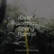 Deep Relaxation - Spring Rainfall