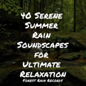 40 Serene Summer Rain Soundscapes for Ultimate Relaxation