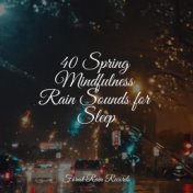 40 Spring Mindfulness Rain Sounds for Sleep