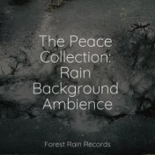 The Peace Collection: Rain Background Ambience