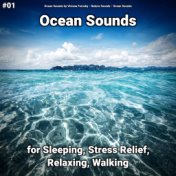 #01 Ocean Sounds for Sleeping, Stress Relief, Relaxing, Walking