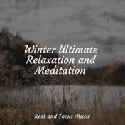 Winter Ultimate Relaxation and Meditation