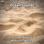 #01 Ocean Sounds for Sleep, Relaxing, Meditation, Waiting
